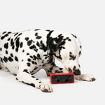 Jouet pour chien avec haut-parleur | Jouet à mâcher 100 % caoutchouc naturel avec distributeur de friandises et parfum poulet