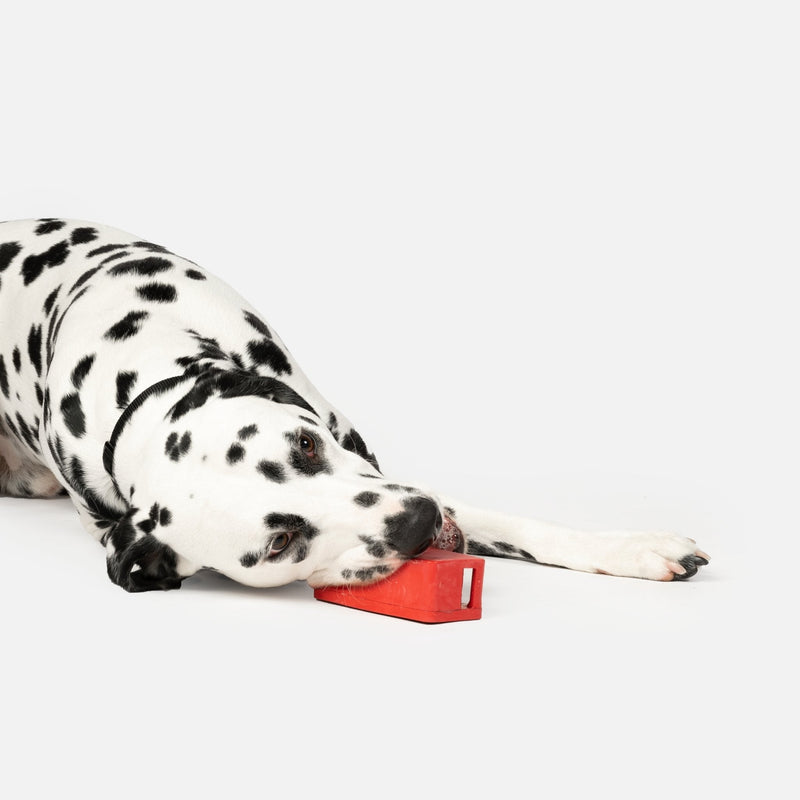 Jouet pour chien avec haut-parleur | Jouet à mâcher 100 % caoutchouc naturel avec distributeur de friandises et parfum poulet