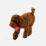 Jouet pour chien avec haut-parleur | Jouet à mâcher 100 % caoutchouc naturel avec distributeur de friandises et parfum poulet