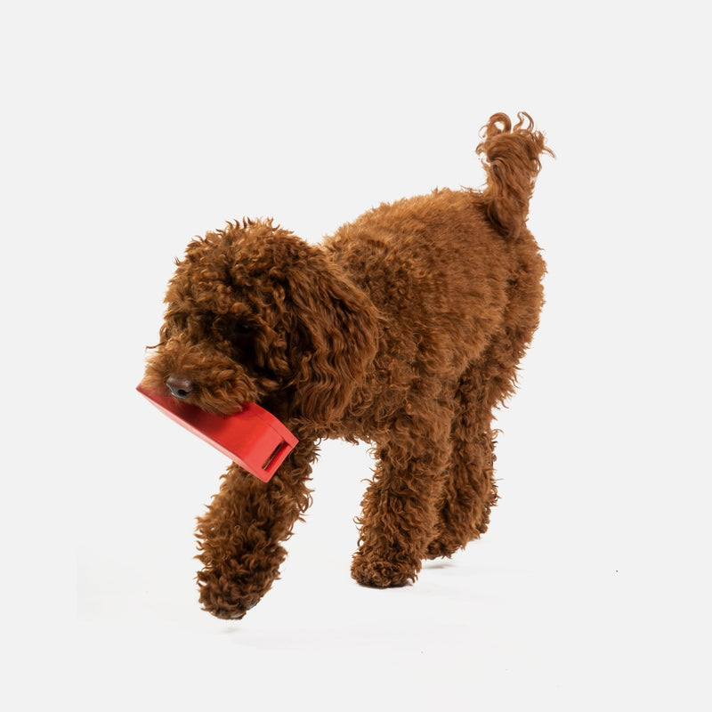 Jouet pour chien avec haut-parleur | Jouet à mâcher 100 % caoutchouc naturel avec distributeur de friandises et parfum poulet