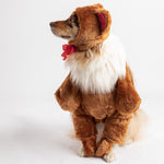 Teddy Bear Dog Costume – Adorable Walking Plush Outfit for Pets