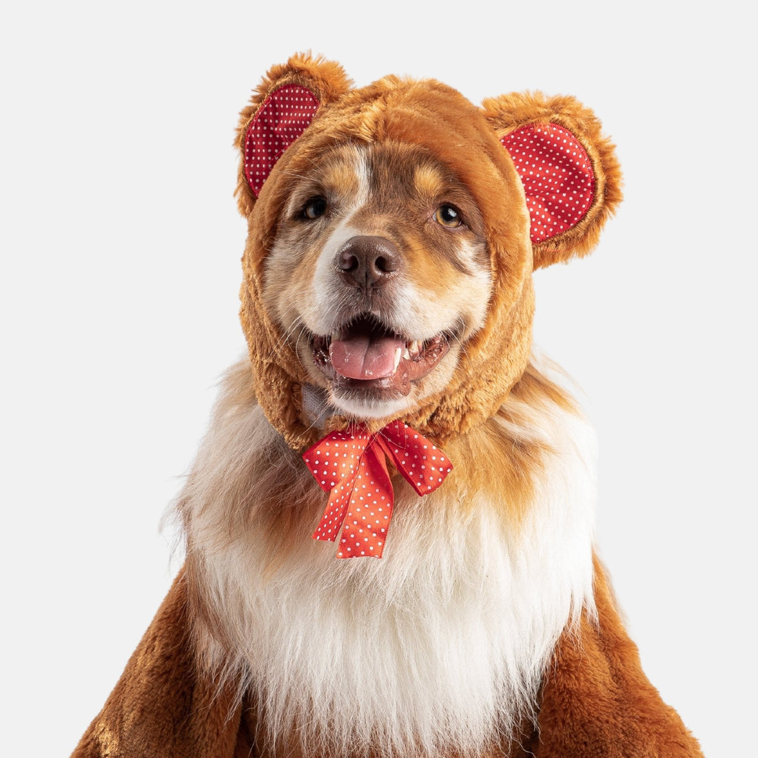 Teddy Bear Dog Costume – Adorable Walking Plush Outfit for Pets