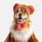 Teddy Bear Dog Costume – Adorable Walking Plush Outfit for Pets