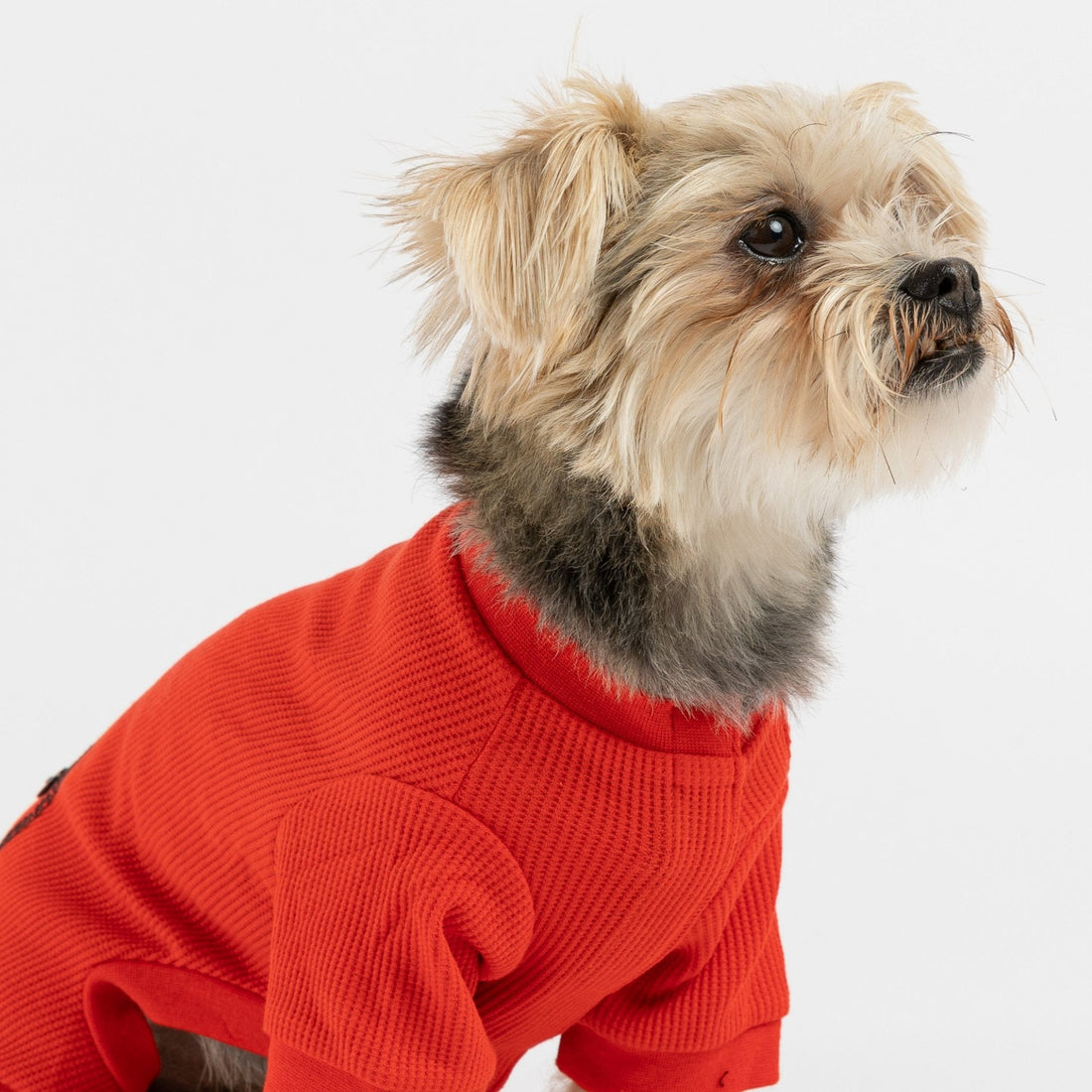 Pyjama thermique pour chien – Combinaison en coton côtelé rouge, confortable et chaude