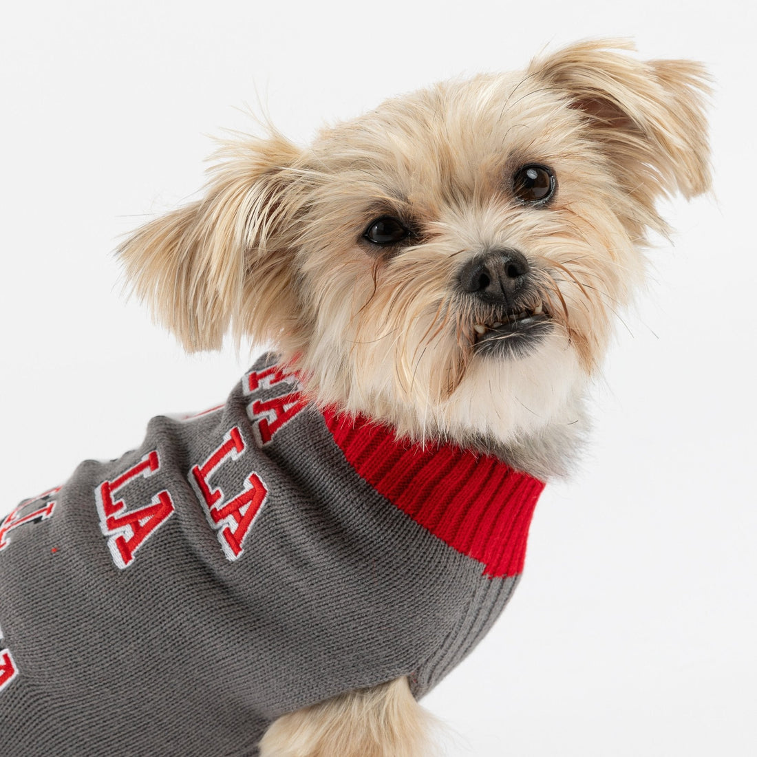 Pull de Noël moche pour chien – Pull en tricot festif Fa La La Llama