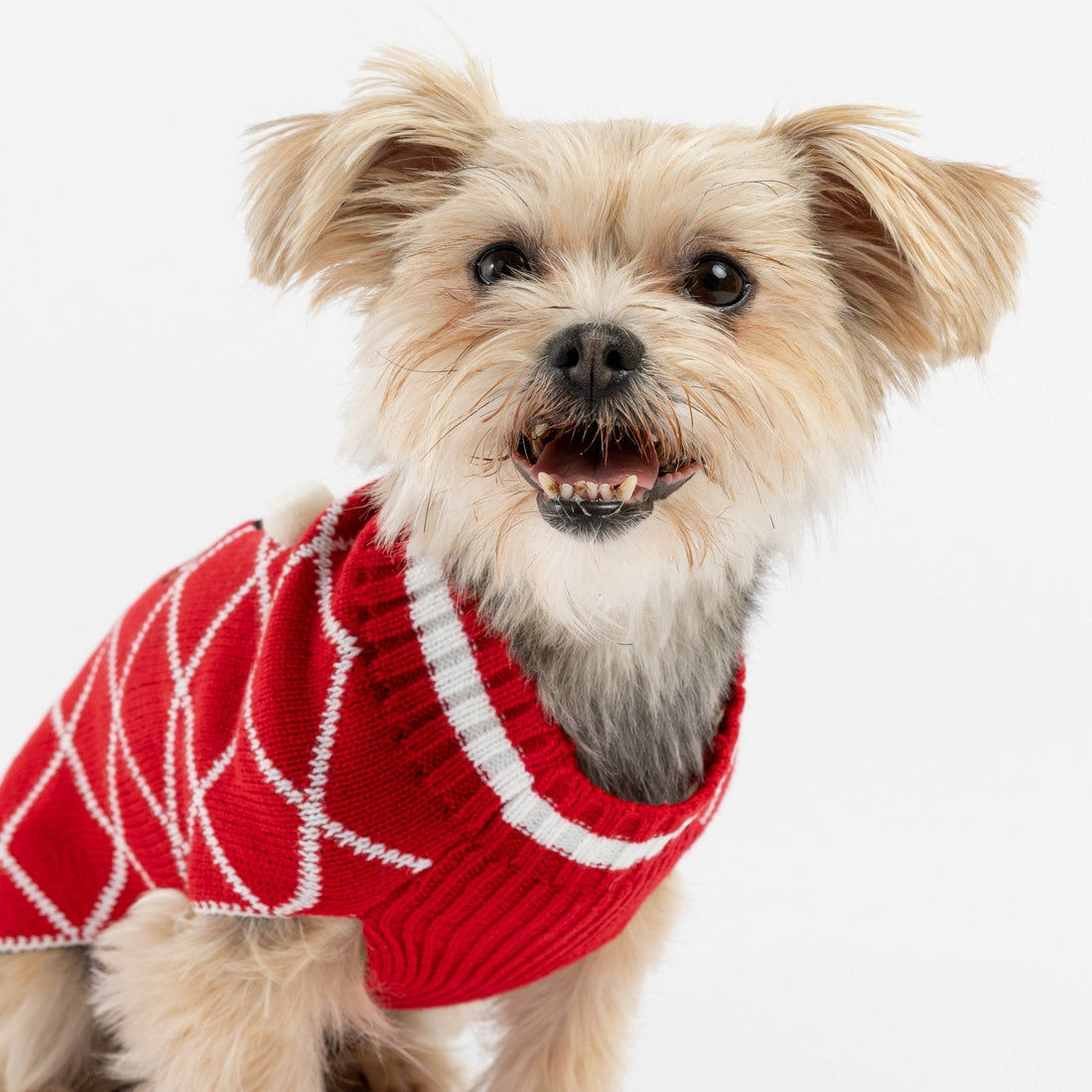 Pull de Noël moche pour chien – Pull en tricot festif en pain d&