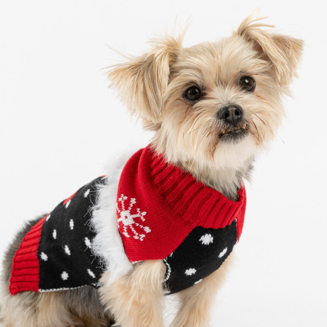 Pull de Noël moche pour chien