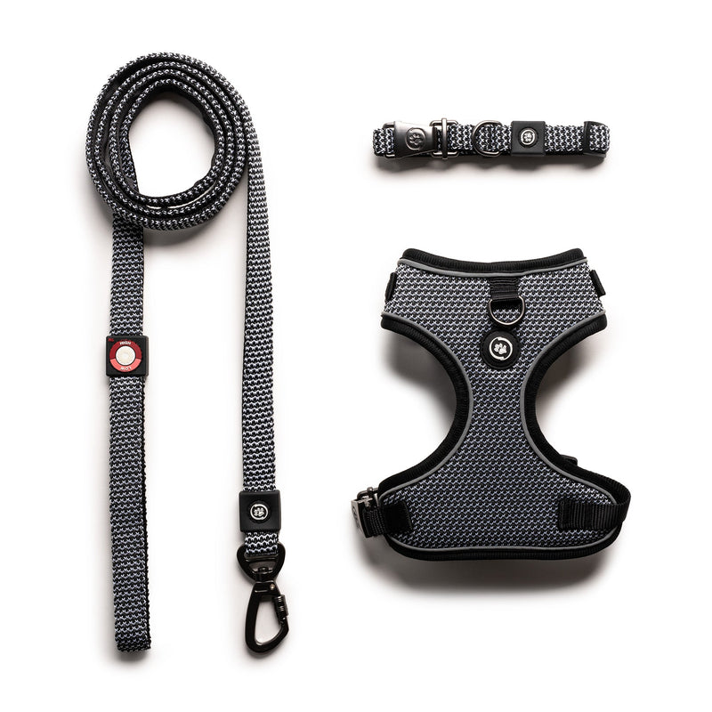Ensemble harnais, laisse et collier 3 en 1 pour chien – Réglable, confortable et durable