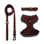 Ensemble harnais, laisse et collier 3 en 1 pour chien – Réglable, confortable et durable