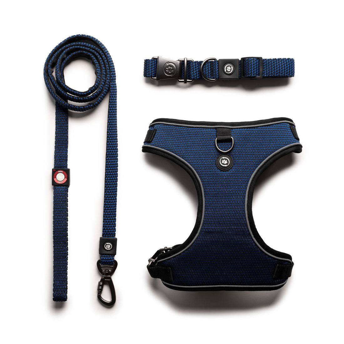 Ensemble harnais, laisse et collier 3 en 1 pour chien – Réglable, confortable et durable