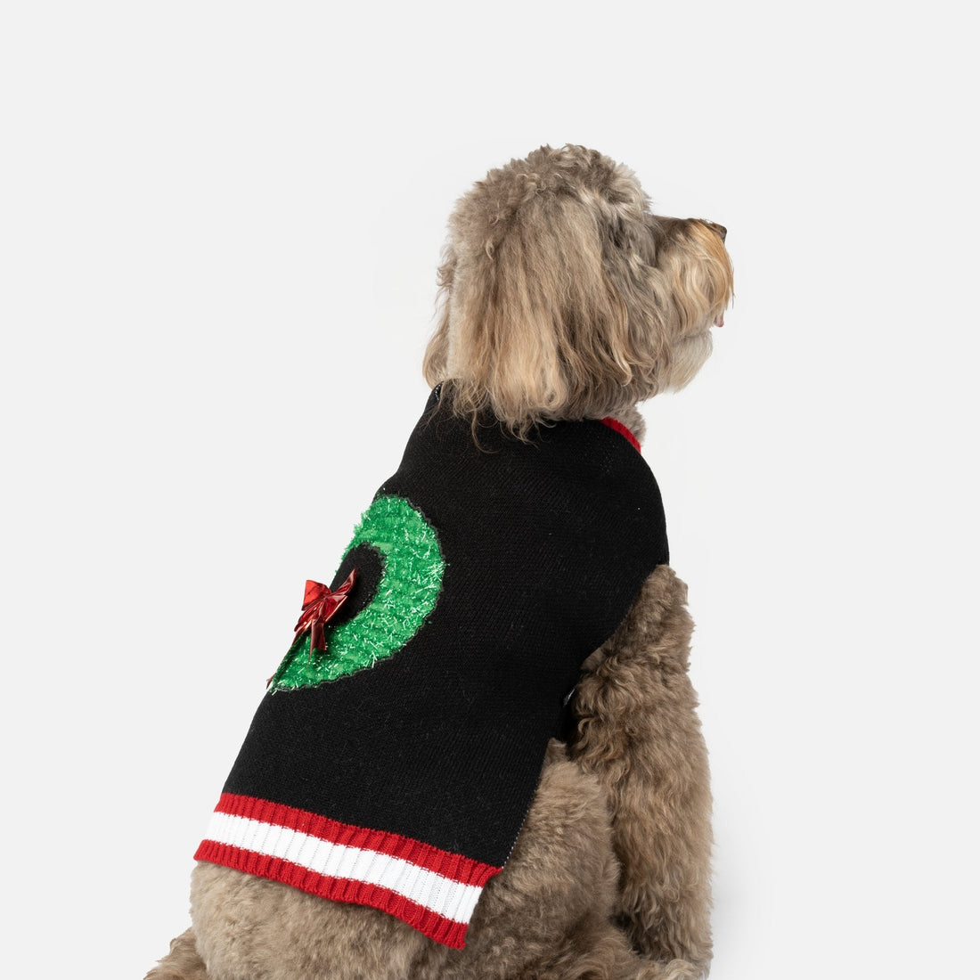Pull pour chien avec couronne – Tricot festif avec nœud et coupe confortable 