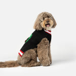 Pull pour chien avec couronne – Tricot festif avec nœud et coupe confortable 