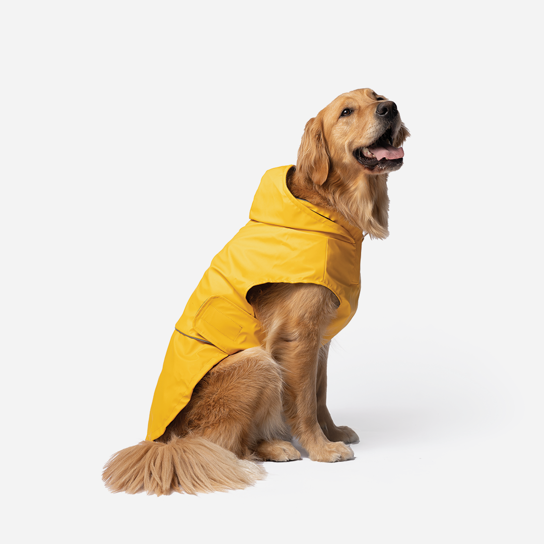 Imperméable pour chien Aden 2.0 jaune – Élégant, imperméable, réglable, avec passepoil réfléchissant et patch d&